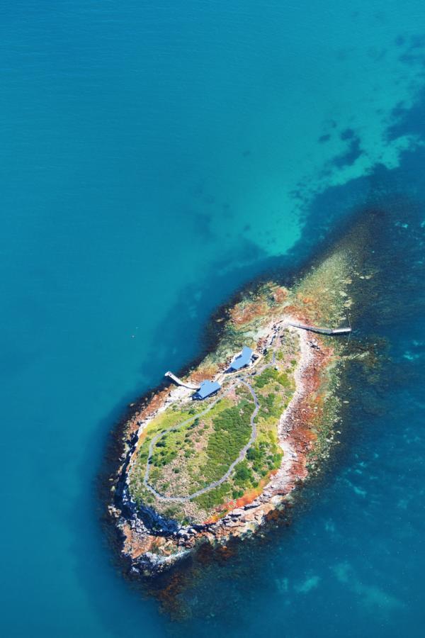 Picnic Island Hotel Coles Bay Exterior foto